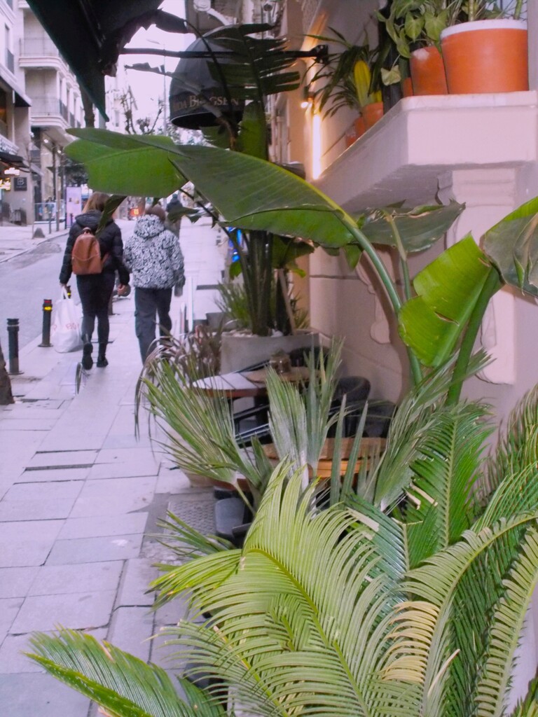 夏になったらね…♪