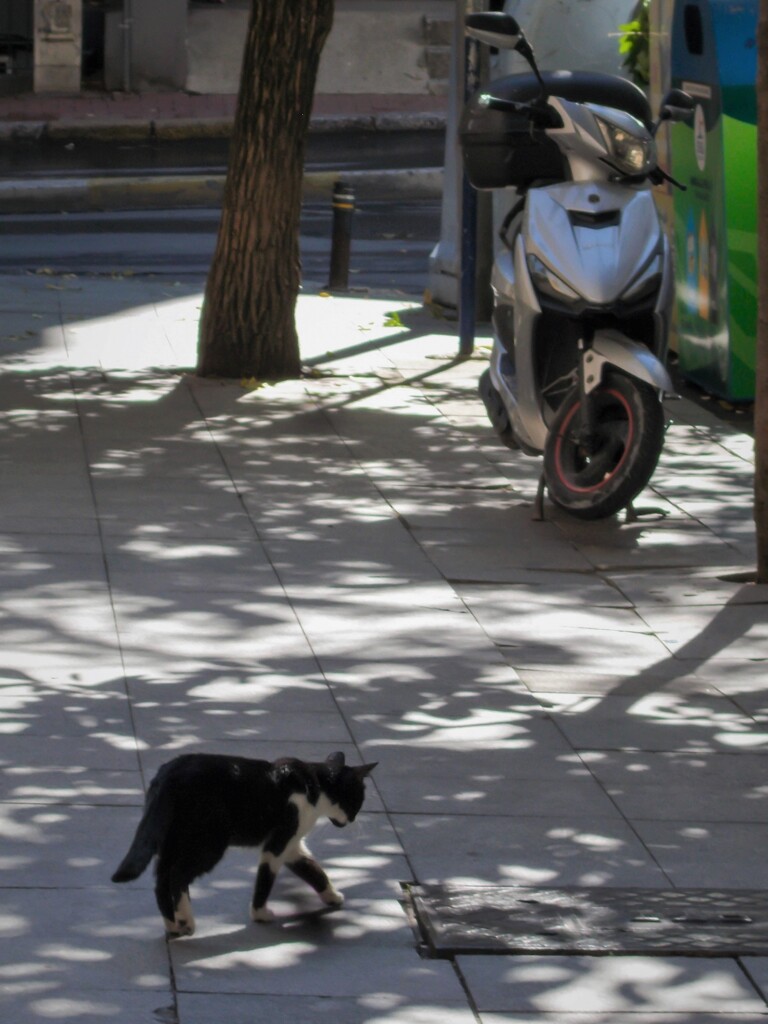 こんニャ日もあるさ～。～