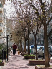 やっと朝陽が淡萌黄色になってきました～✨