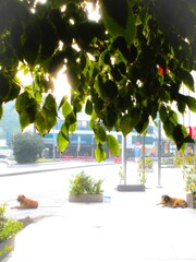 居場所がなくなっていく…