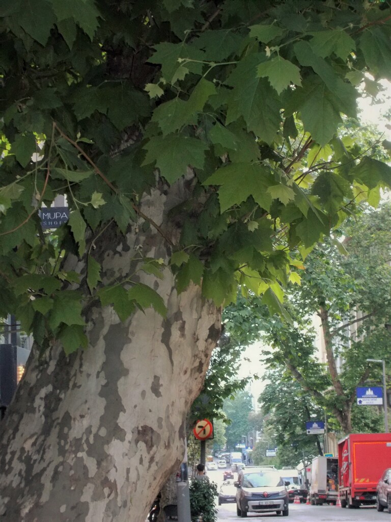 新しい１日が始まる～～♪