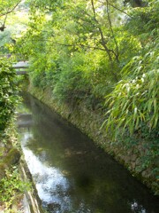 水も…時も…残された時間も…　流れてく～～