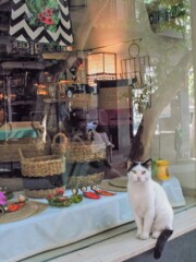 髪を撫でつけて記念撮影～♪