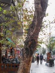 たまには外で朝食～～♪