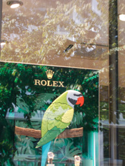 早く飛び立っておいき～