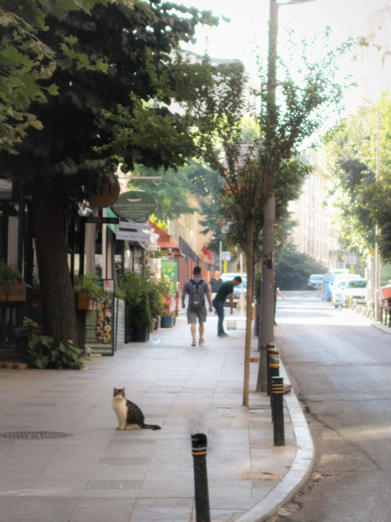 ポツンと～何思う～