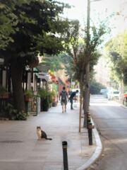 ポツンと～何思う～