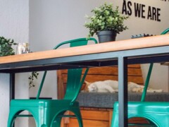 ニャンズ無料のイスタンブールカフェ～　うなされていましたが…？