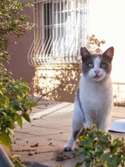 ママは几帳面ニャン～♡