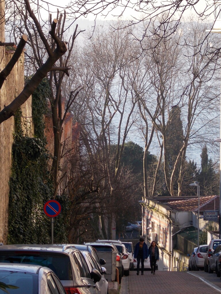 イスタンブールの坂道～♡　ボスポラスそしてアジア大陸