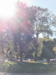 宇宙には救済の意志が遍満しているという～（観音様の事かな…？）