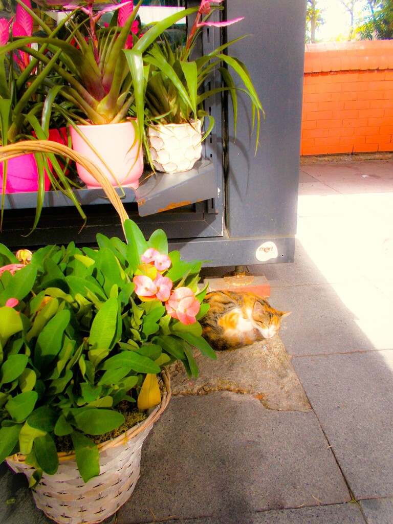 うらうら～～お子ちゃま～～