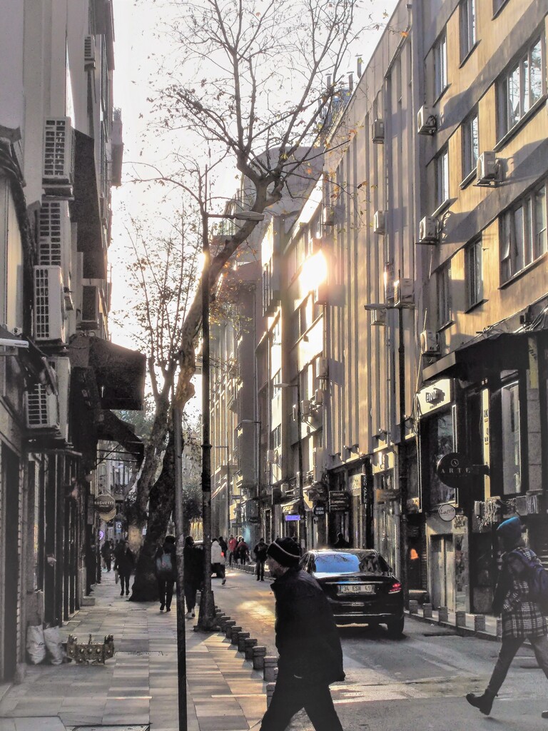 キーンって冷え込んだ朝…⁂