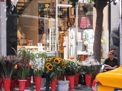 夏の花を売るジプシー～❀