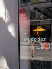 素敵だったショーウィンドの光りと影～