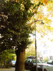 ふ～～ぅ　やっと上りついた坂の上の街～～♪