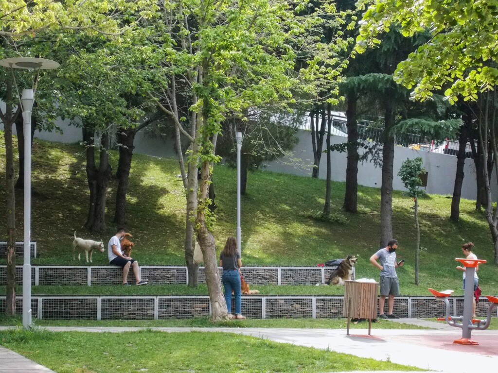 毎朝ワンちゃんと一緒に集まるんですって～♡