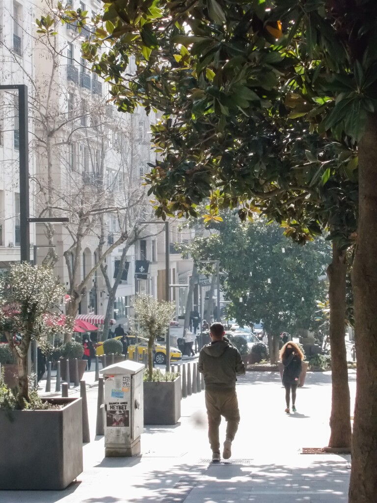 浅春の光りのヴェールの中で～☆