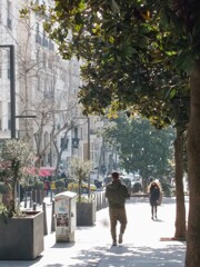 浅春の光りのヴェールの中で～☆