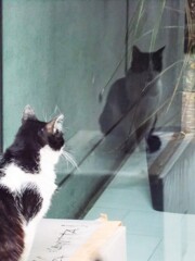 鏡よ～　鏡さん～