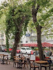 簡易ティーガーデン～～♪