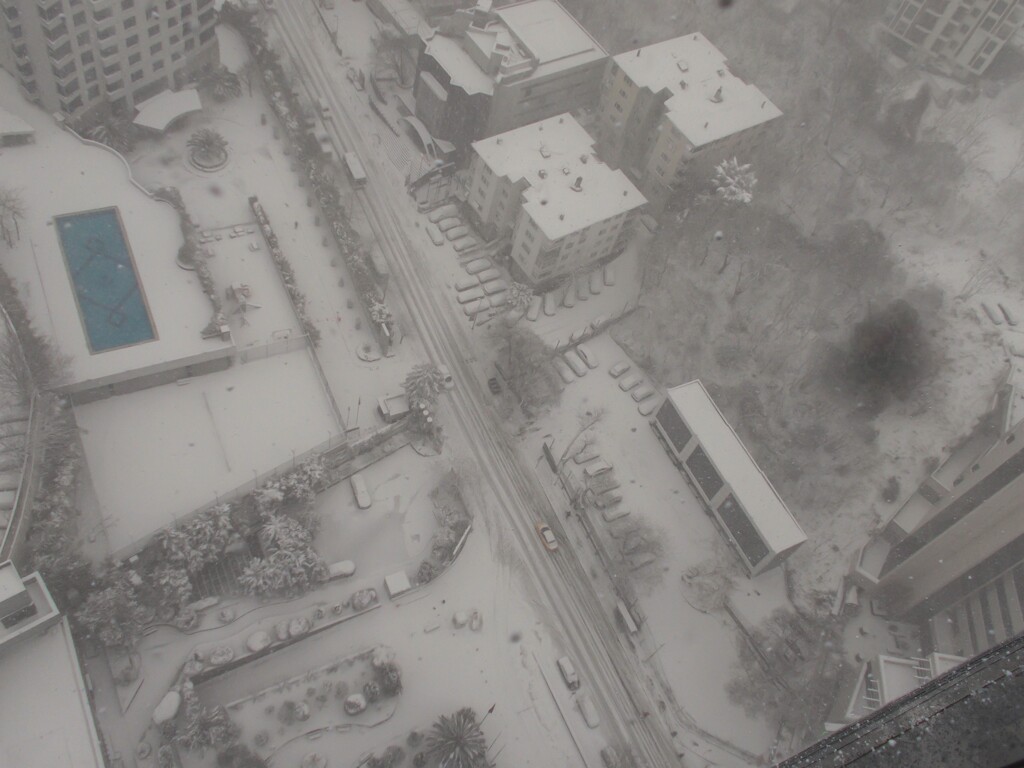 春の大雪。。。融雪剤も間に合いません。❄。