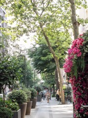 華やかな緑のブティック街～♪