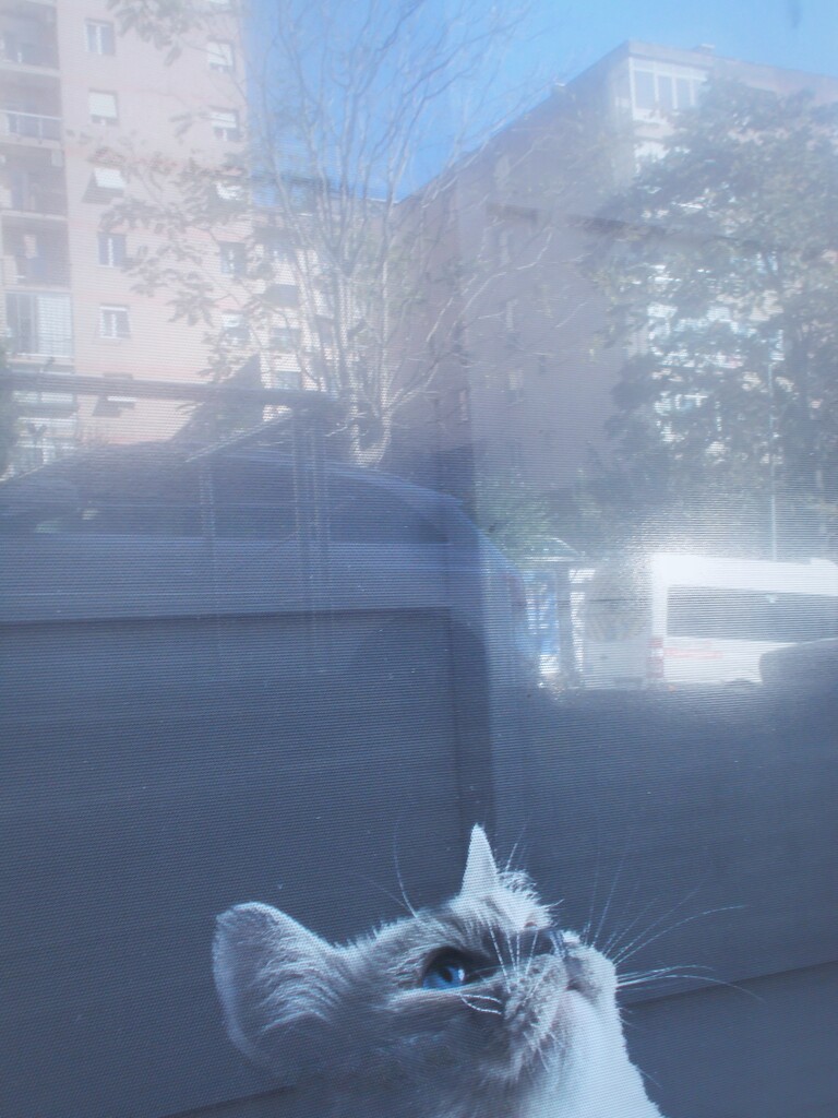 青い　青い空だね～～♪