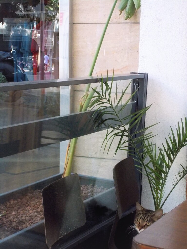 ここにも～♡♪