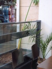 ここにも～♡♪