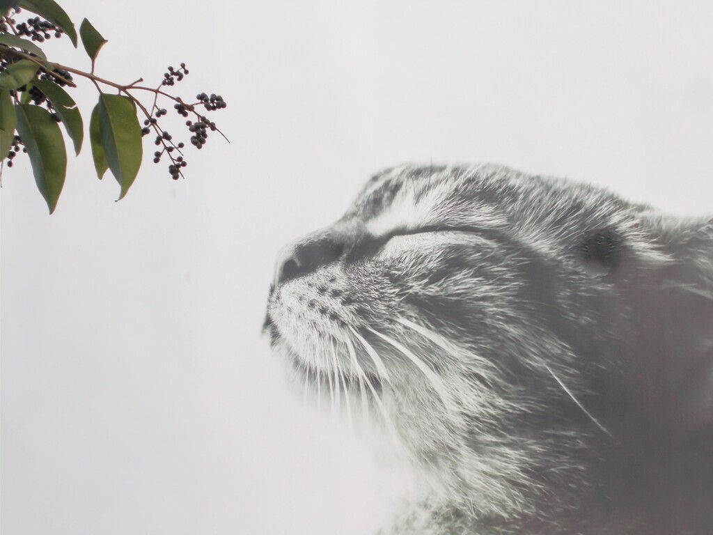 想い～～遠くへ～