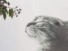 想い～～遠くへ～