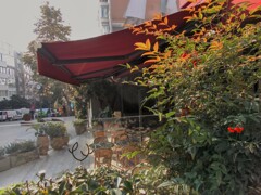 一休みしたり　お喋りしたり～早く戻って来て～☆