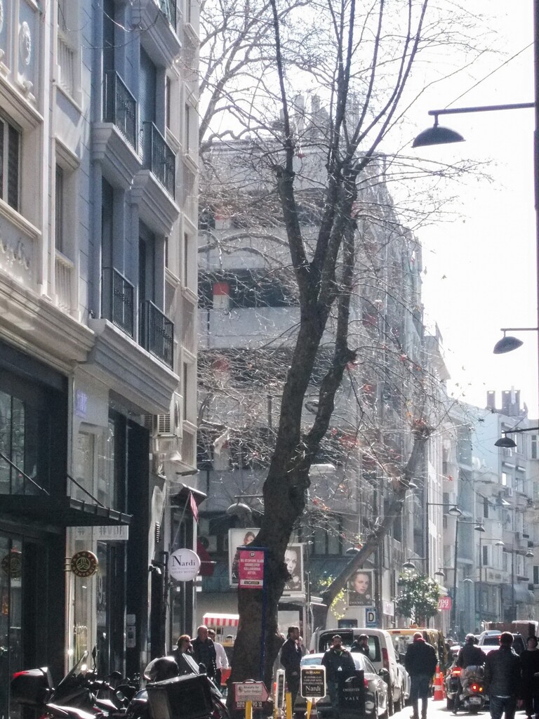 朝の慌ただしさ～☆