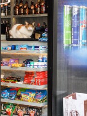 おじちゃん　そこまでお出かけ…お店番してるにょ…