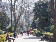 週末の公園で～　それぞれの朝～✨