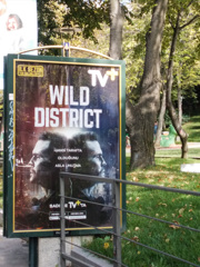 ワイルド！ディストリクト！