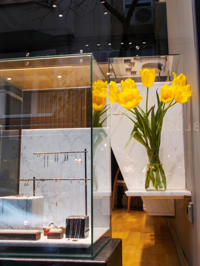 黄色いチュウリップ～