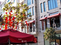 ラブ　ハンティング～♡