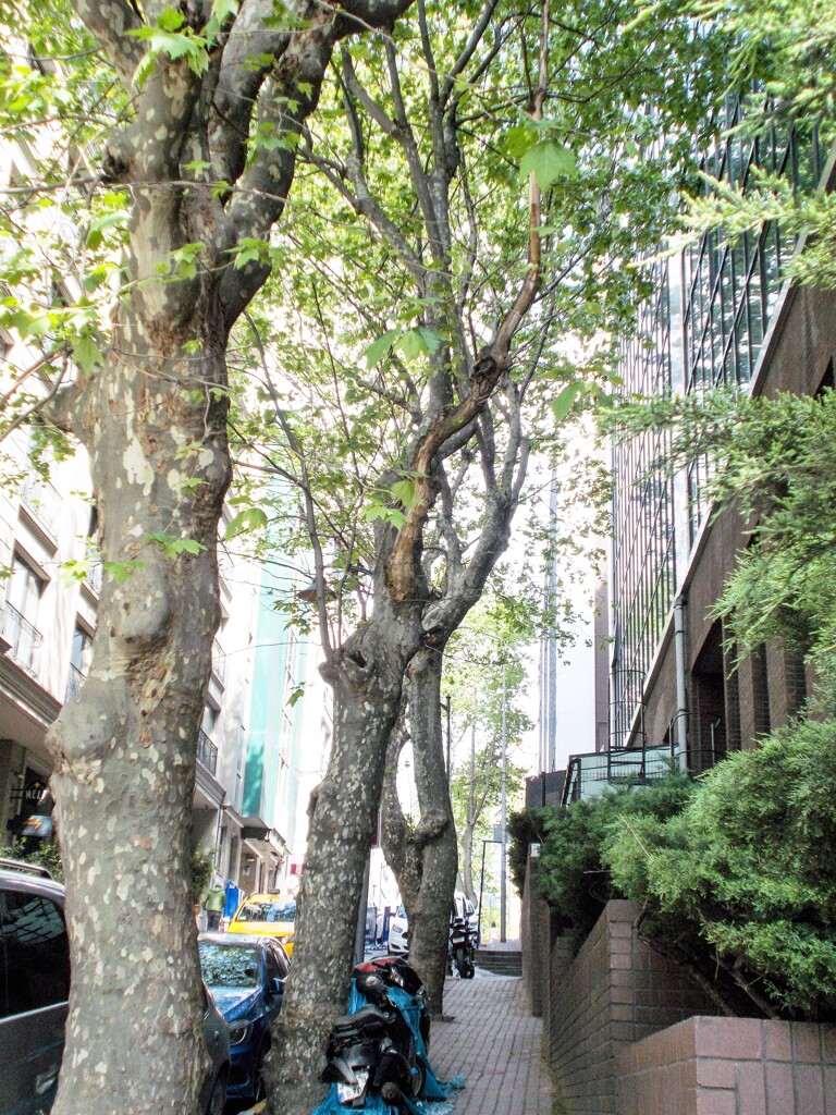 狭間を行く・・・