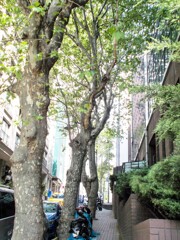 狭間を行く・・・