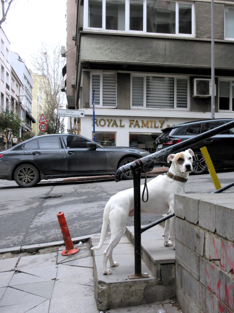 青たんの威光～★