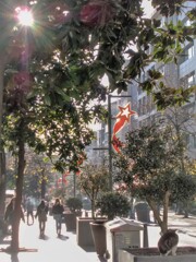 遠き春…早く来い…