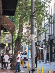 ～探し物は何ですか～♪～