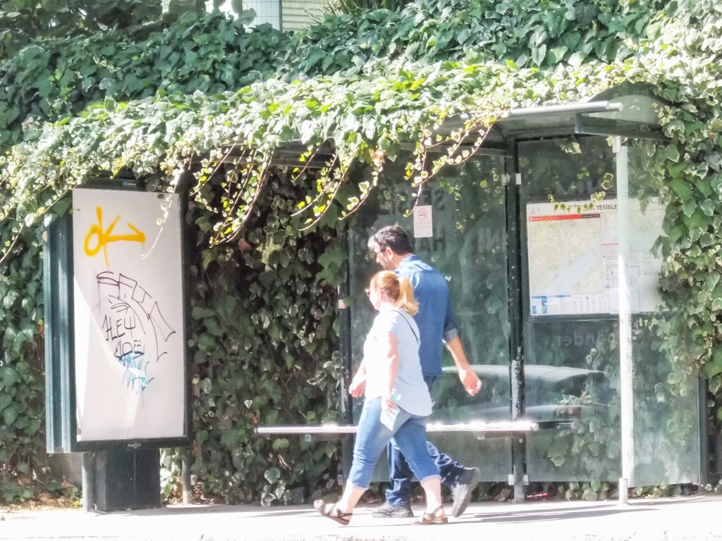 光り行き～✨バス停～✨