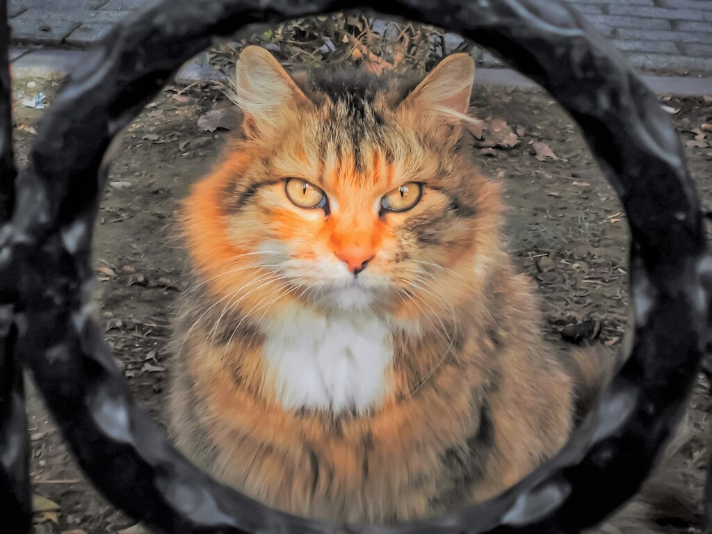 2022　新年のご挨拶～☆