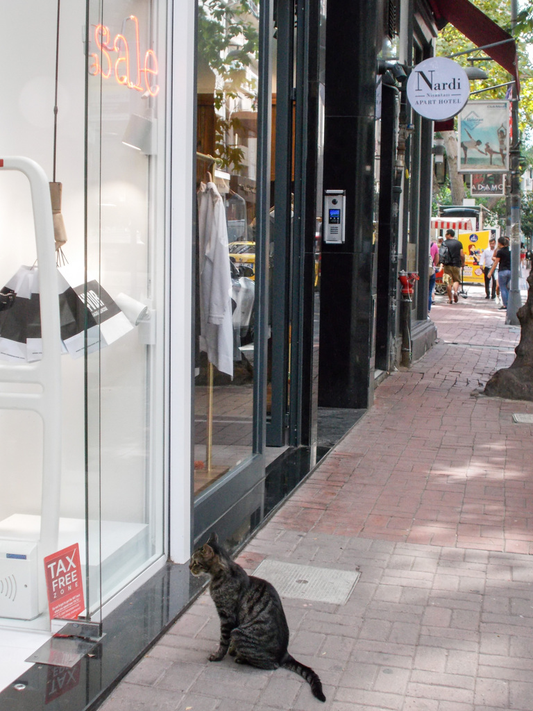 ネズミより人間の方がいいニャ