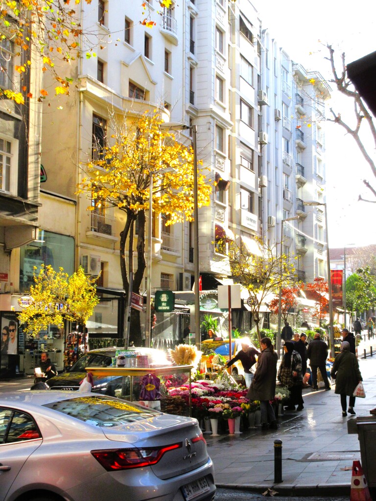 何もかもが　命いっぱいの朝～☆