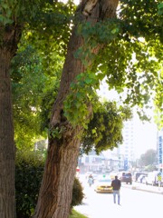 命いっぱいに～～♪