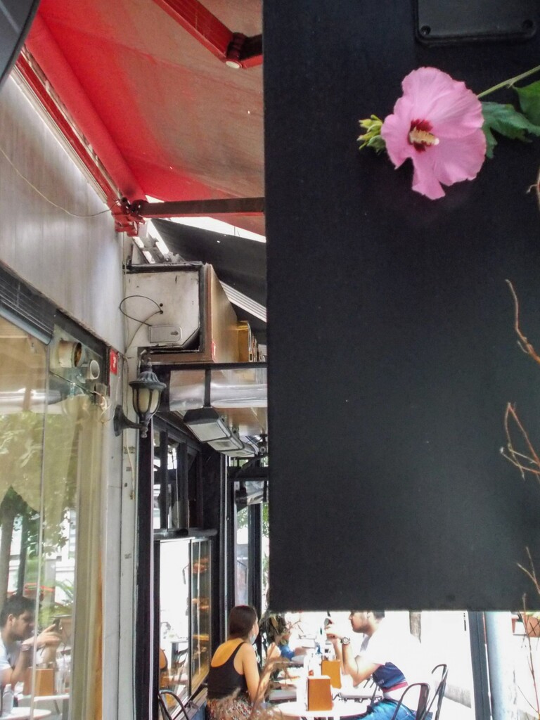 盗み聞き・・・